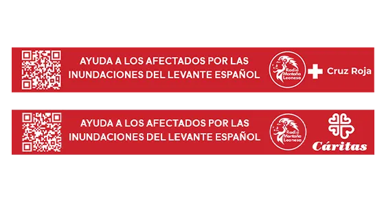 AYUDA DANA RML copia