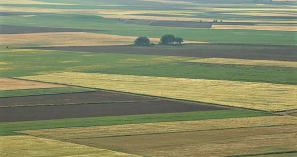 TIERRA DE CAMPOS