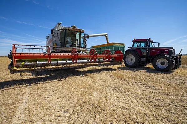 COSECHA DE CEREAL DE INVIERNO