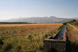 CANAL DEL BAJO BIERZO