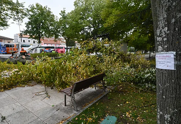 SECUELAS DE LA BORRASCA KIRK