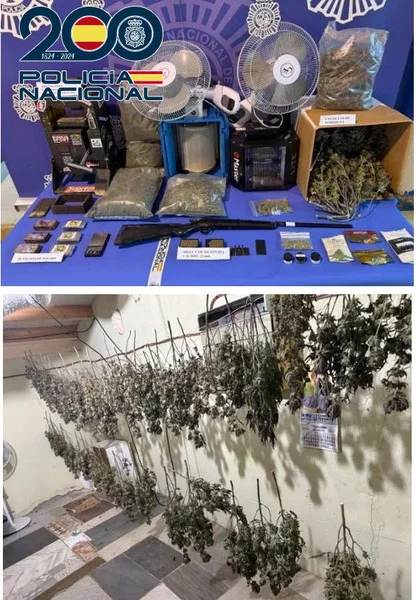 CULTIVO INDOOR