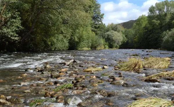 RIO-CUA
