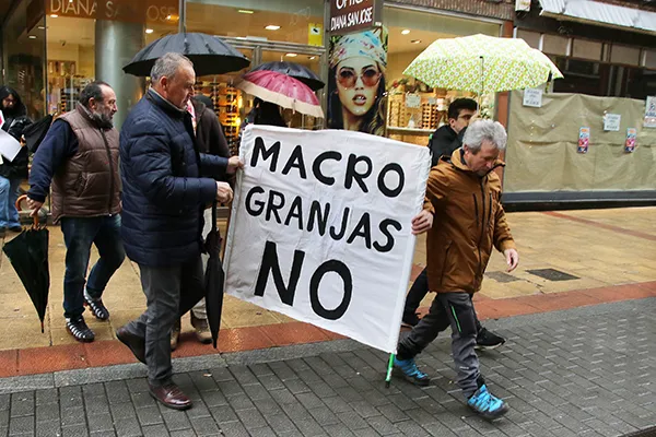 ALEGACIONES CONTRA LA MACROGRANJA PORCINA