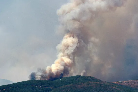 INCENDIO FORESTAL