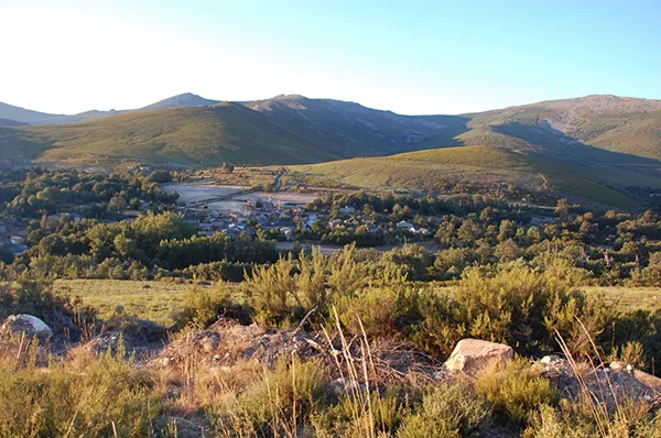 BOSQUE DE VALDABIDO