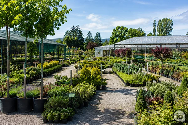 VIVERO