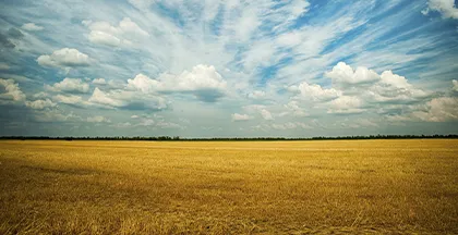 CAMPO