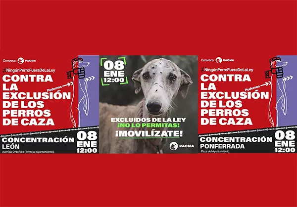 PACMA