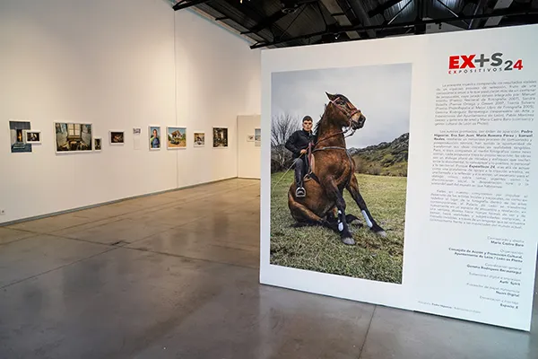 EXPOSITIVOS 24