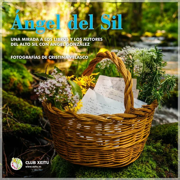 CUBIERTA-ANGELDELSIL-1