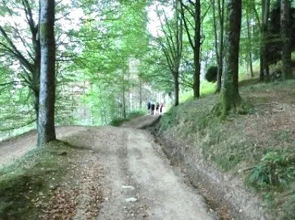 PISTA FORESTAL