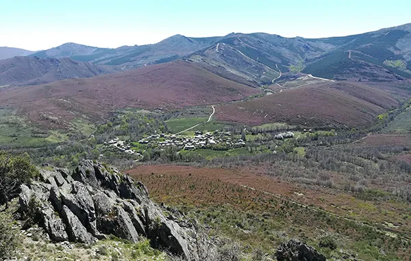 Fantástico Bosque de Valdavido