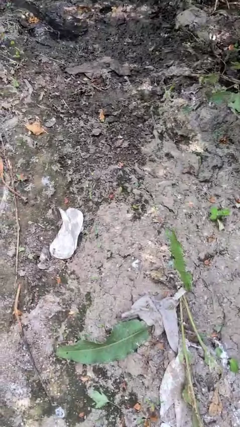valdefresnovertido