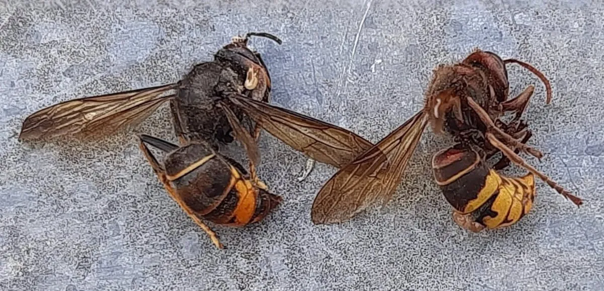 fotonoticia_20230908105059_1200