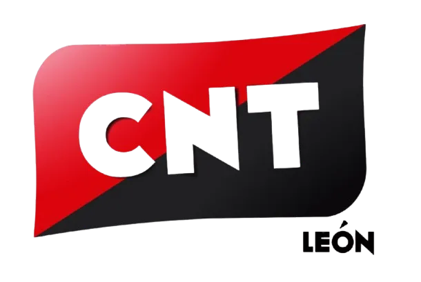 b8feec6d-removebg-preview