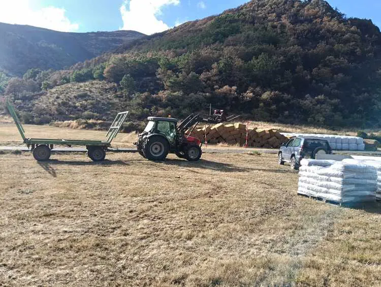 FORRAJE PARA LOS ANIMALES DE LOS GANADEROS DE BARNIEDO DE LA REINA