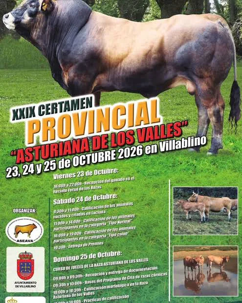 XXIX edición del Certamen Provincial de Asturiana de los Valles