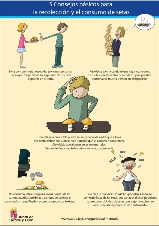 CARTEL+Consejos+básicos+para+la+recolección+y+consumo+de+setas_page-0001