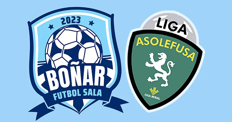 LIGA ASOLEFUSA