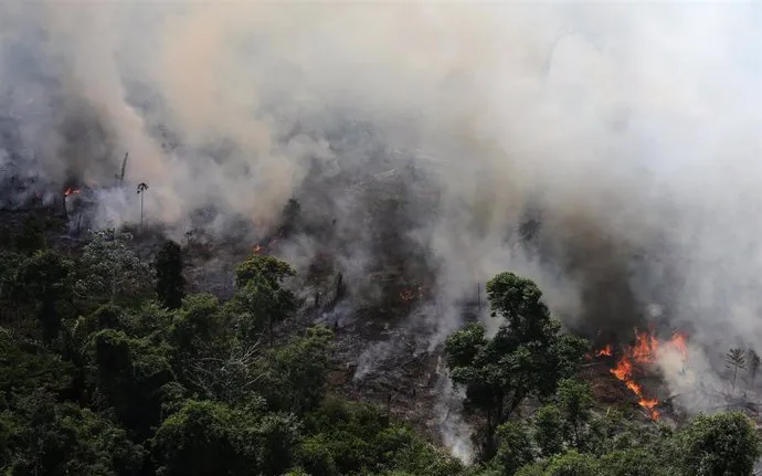 INCENDIO FORESTAL - EP