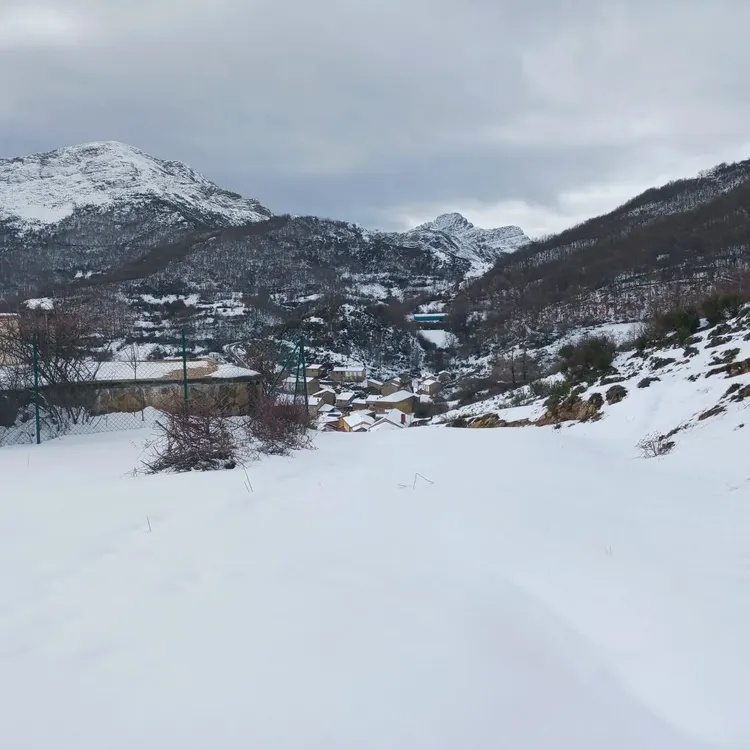 069f1641-0950-4eb6-946b-1a8cde8cee8e