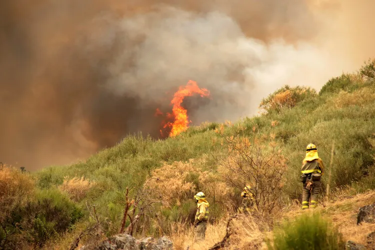 INCENDIO DE FASGAR