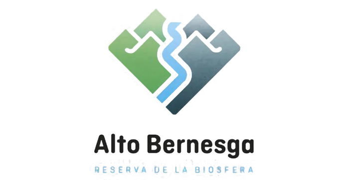 CONSORCIO ALTO BERNESGA