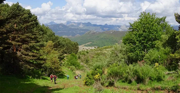 RUTA EN EL ENTORNO DE BOÑAR