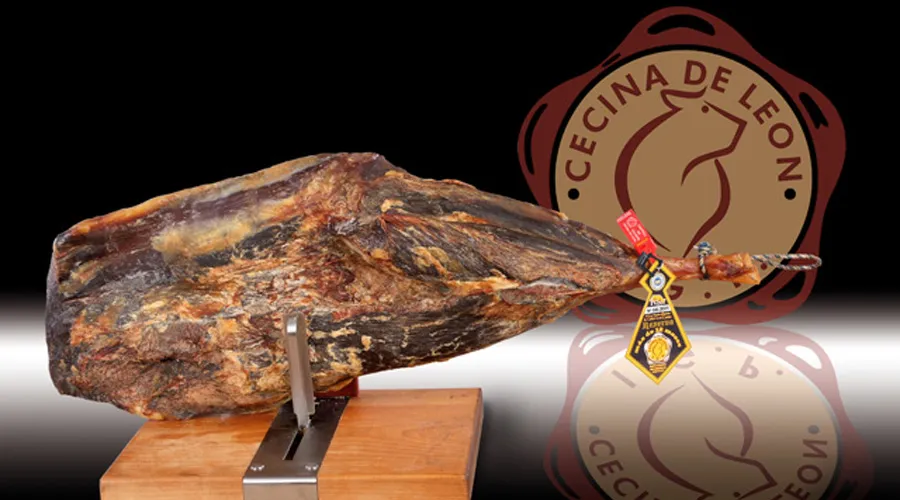 CECINA DE LEON