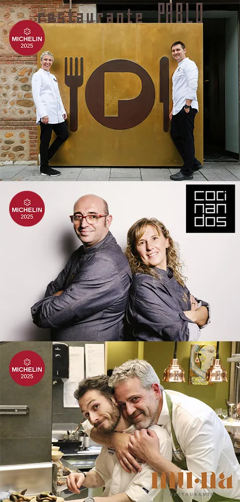 ESTRELLAS MICHELIN EN LEON