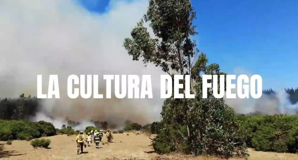 Captura de pantalla 2024-03-19 081717