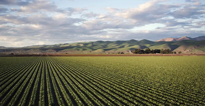 explotacion agricola