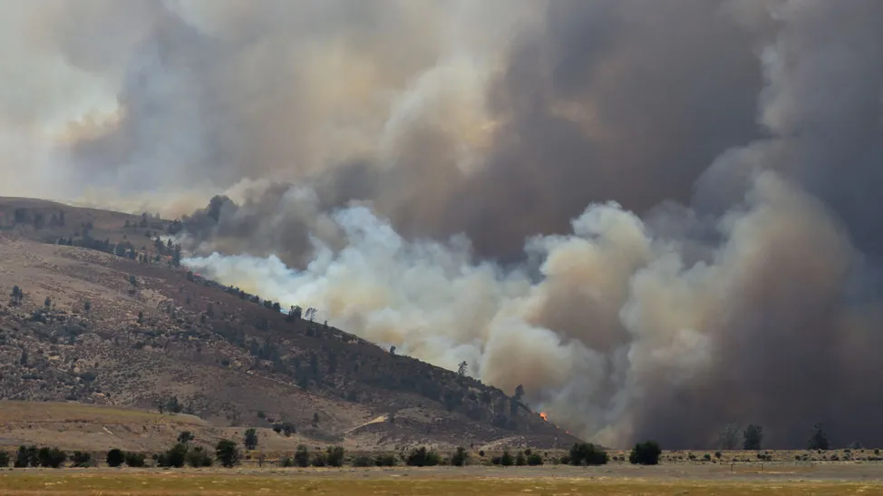 HUMO INCENDIOS