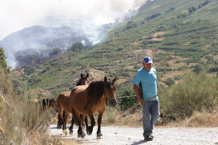 INCENDIO EN PORTO DE SANABRIA