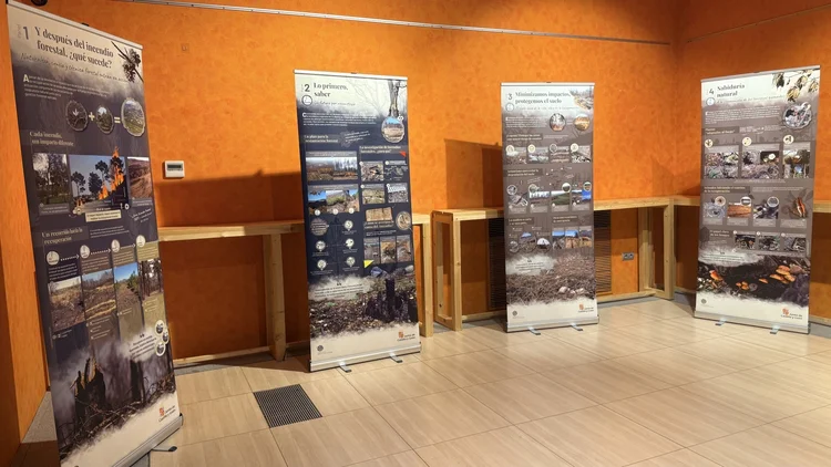 EXPOSICION SOBRE LA RECUPERACION TRAS LOS INCENDIOS FORESTALES