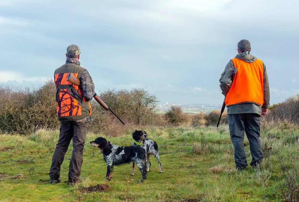 Dos cazadores junto a sus perros. - FEDEXCAZA