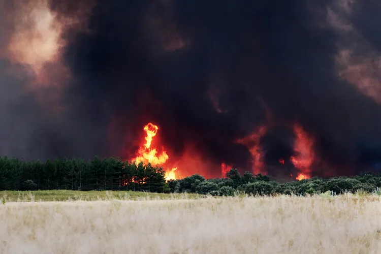 FUEGO EN HERREROS DE JAMUZ3