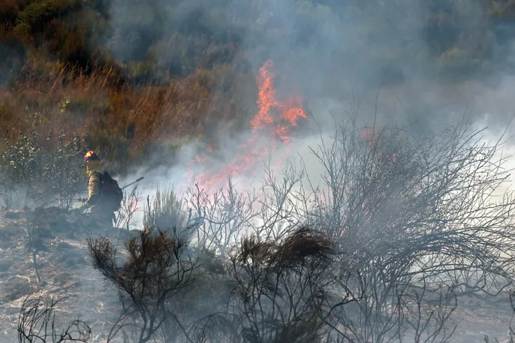 INCENDIO EN VILLASINTA DE TORIO2