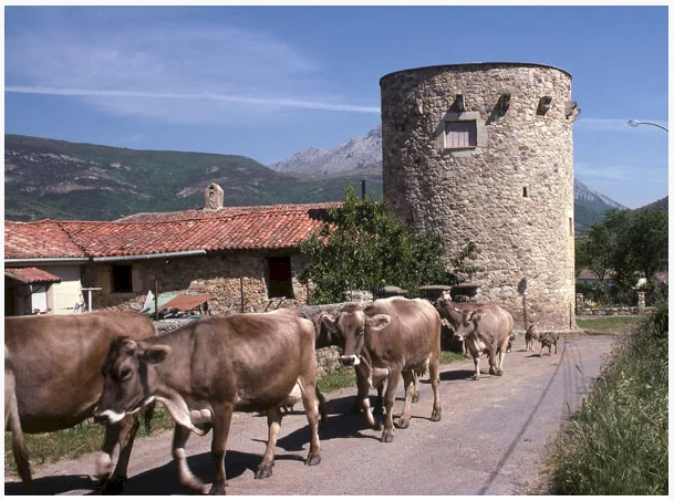 OTERO DE CURUEÑO