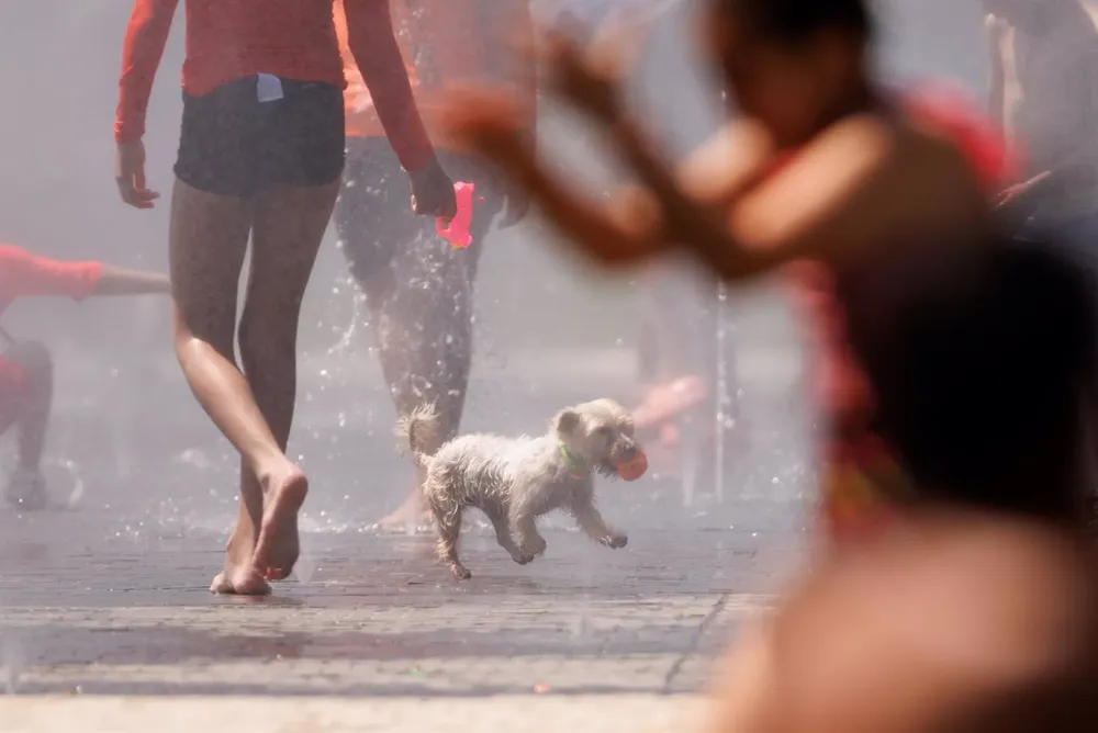 OLA DE CALOR