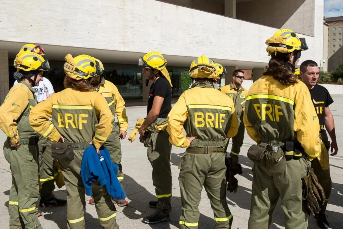 TRABAJADORES DEL BRIF