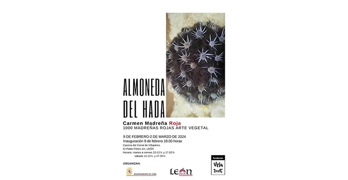 EXPOSICION ALMONEDA DEL HADA
