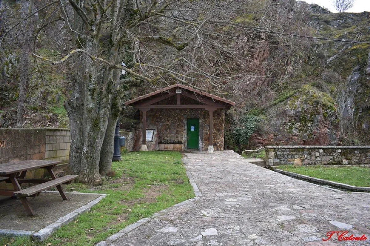 caldas-de-bonar-23959-xl