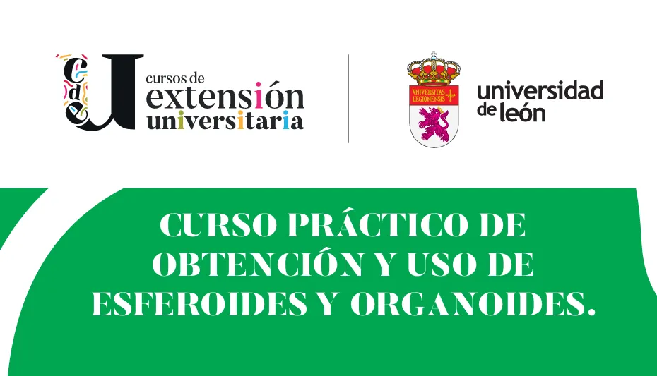 Curso Práctico sobre ‘Obtención de Esferoides y Organoides’ organoides