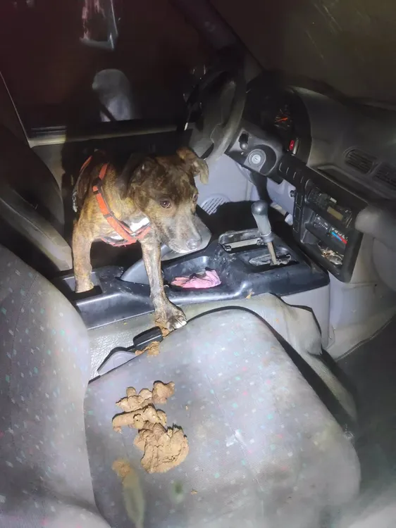 fotonoticia_20240407124452_1920