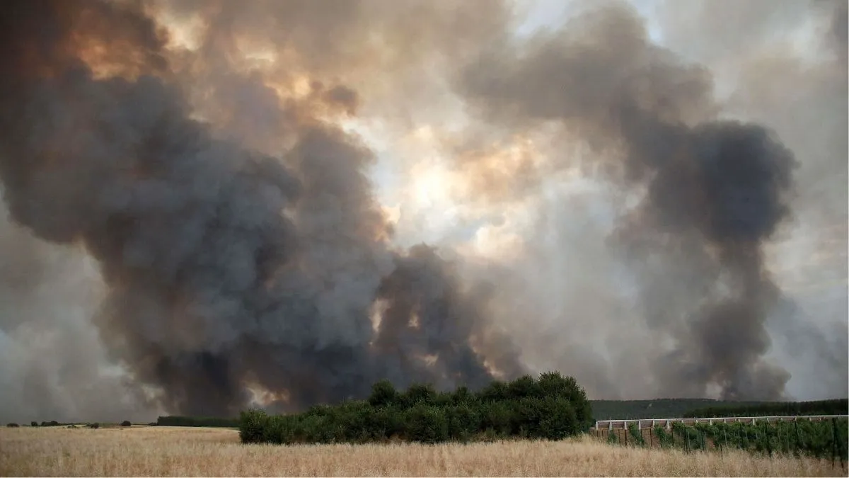 INCENDIO EN PARDESIVIL