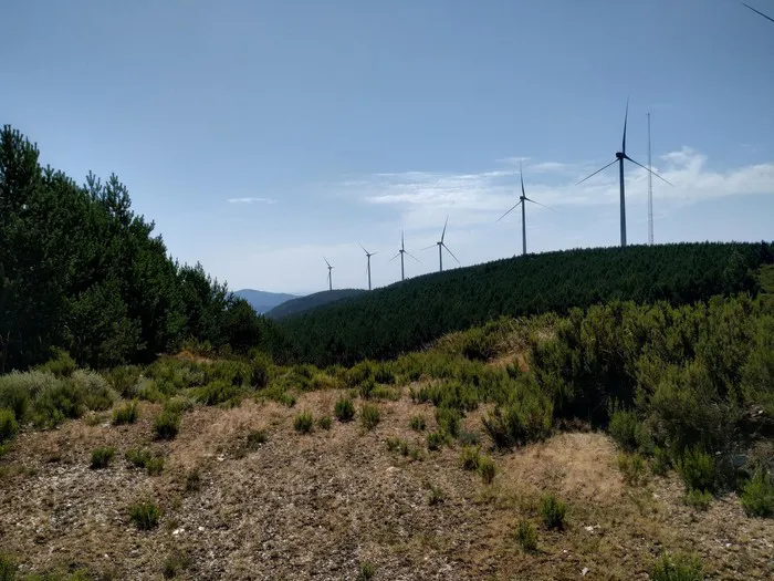 parque eólico de Espina de Tremor