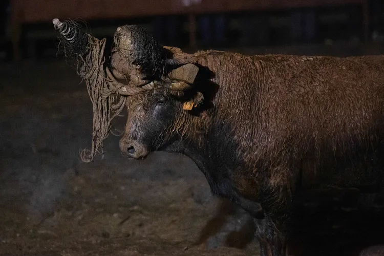 TORO DEL JUBILO DE MEDINACELI