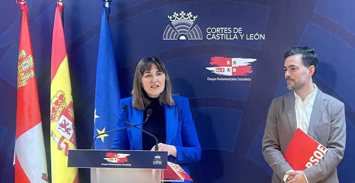 Los procuradores socialistas Yolanda Sacristán y Diego Moreno